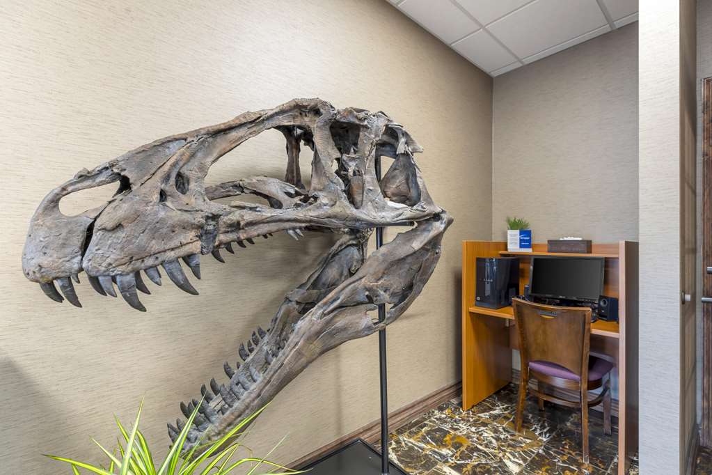 Best Western Denver Southwest - photo 44