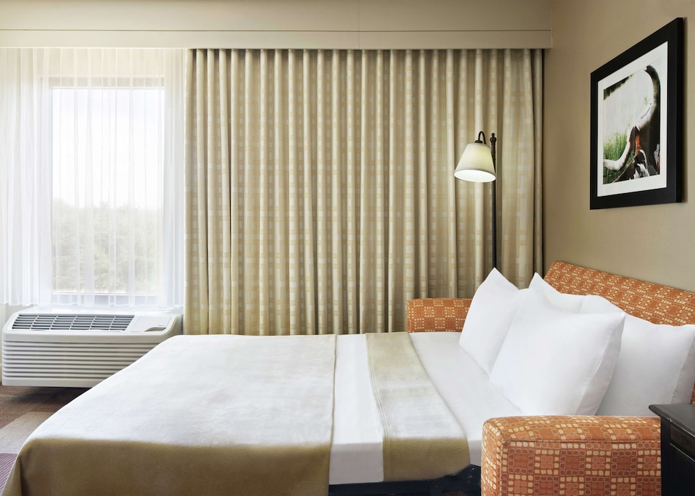 Hampton Inn Dallas Irving Las Colinas - photo 12