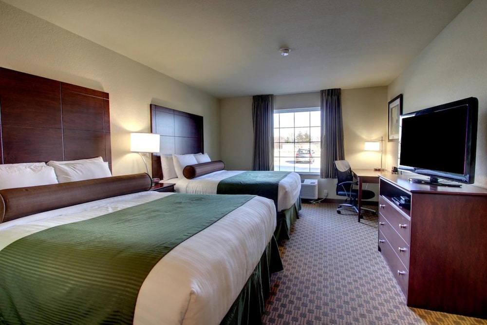 Cobblestone Inn & Suites Harvey - photo 21