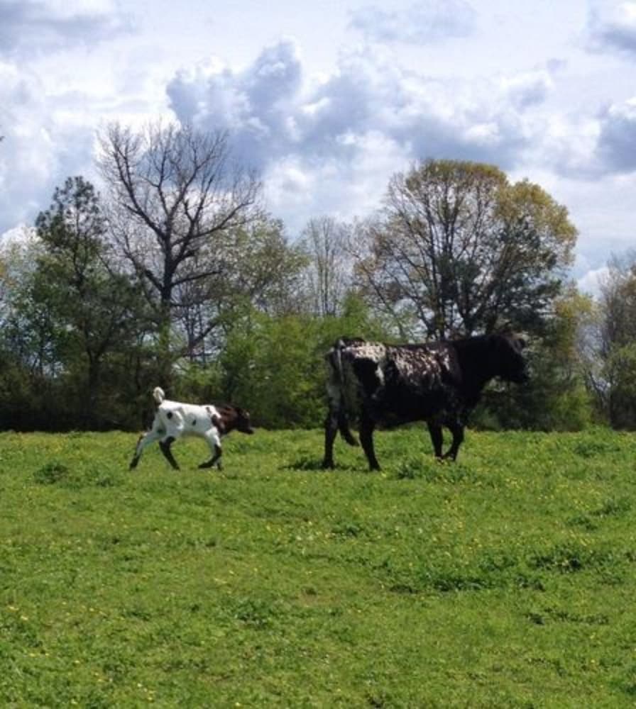 Seventy four Ranch - photo 42