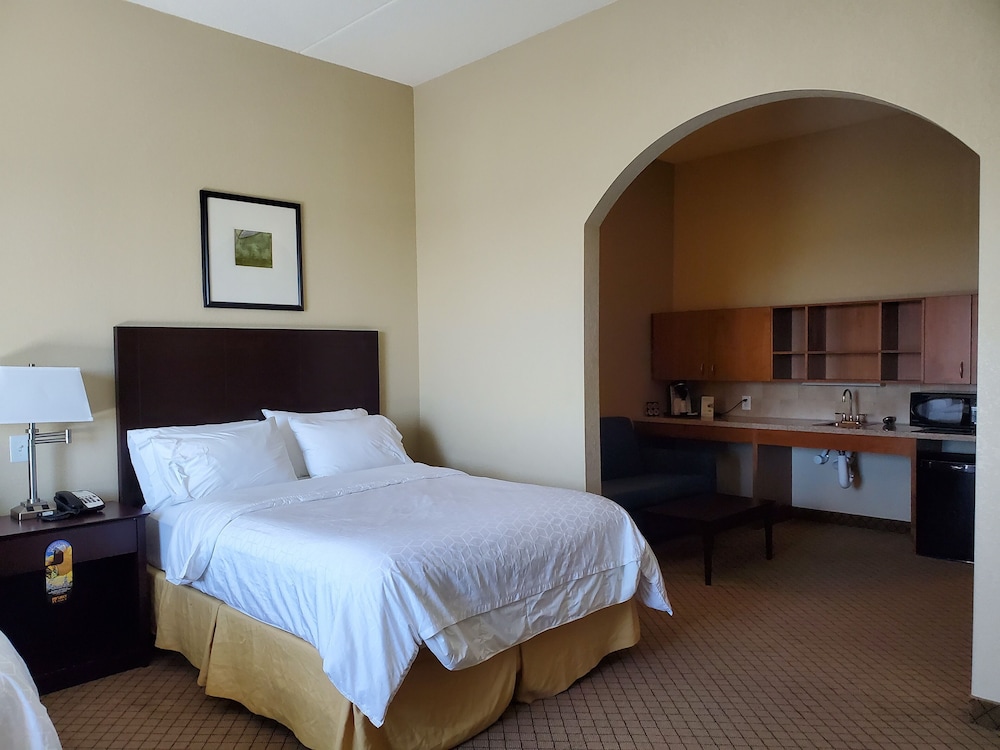 Holiday Inn Express Hotel and Suites Mankato East by IHG - photo 19