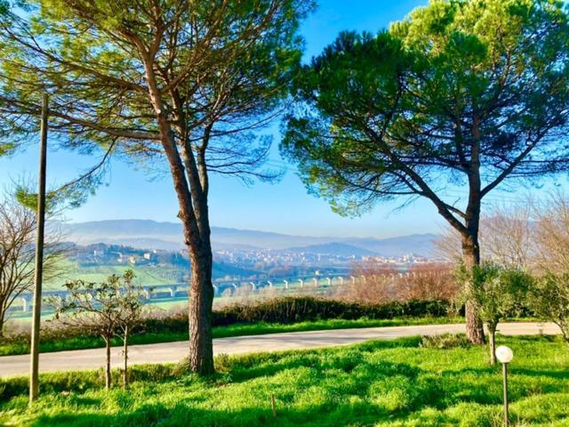 Tenuta Il Sogno — Benevento — photo 2