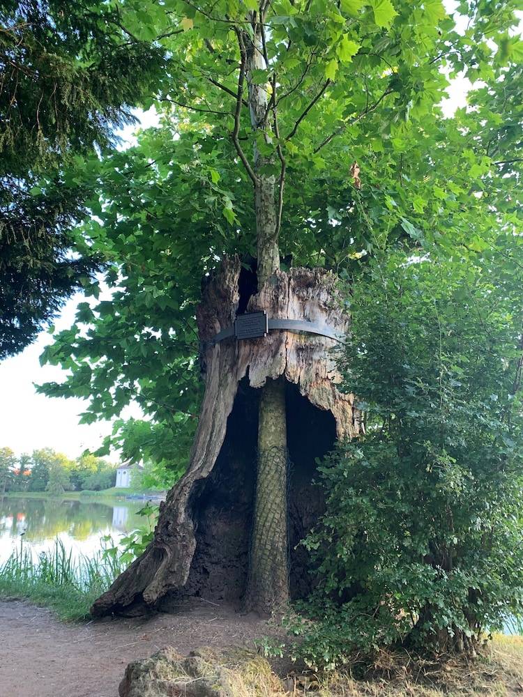 Land view from property