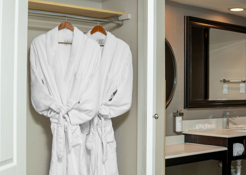 Yosemite Southgate Hotel & Suites - photo 15