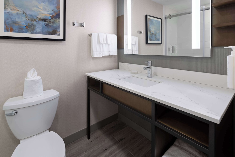 Hilton Garden Inn Winston Salem Hanes Mall - photo 33
