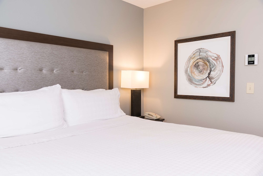 Homewood Suites by Hilton Bloomington - photo 15