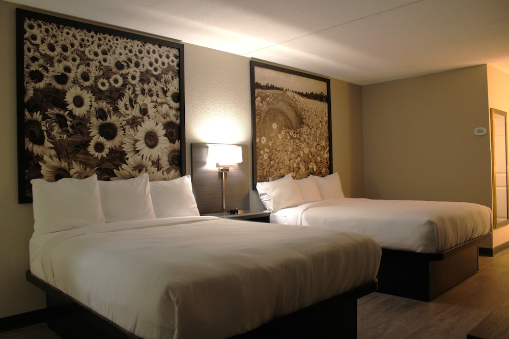 Super 8 by Wyndham Lamar - photo 12