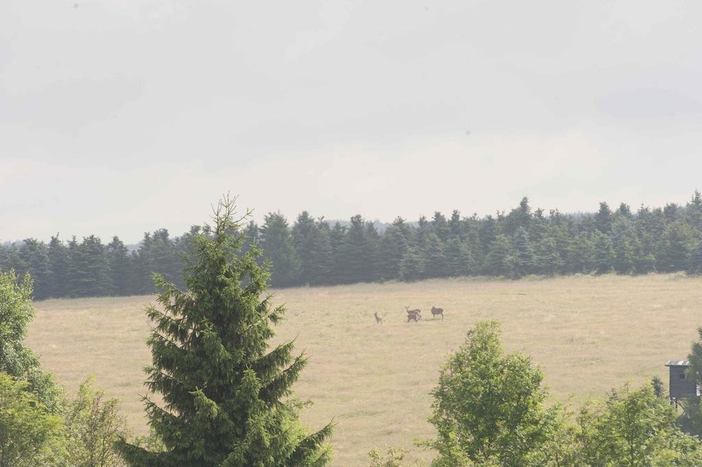 Penzion Hajovna — Litvinov