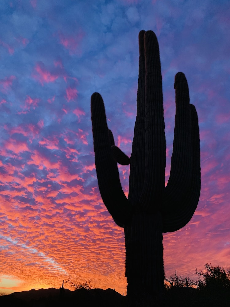 City Express by Marriott Tempe - photo 102