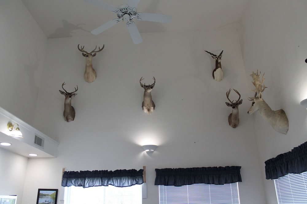 American Host Inn - photo 31