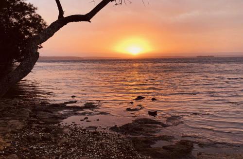 Paradise Beach Apartments — 4-Star Luxury Hotel in Tomerong, Australia