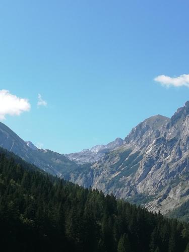 Frühstückspension Seeberghof — Turnau — photo 3