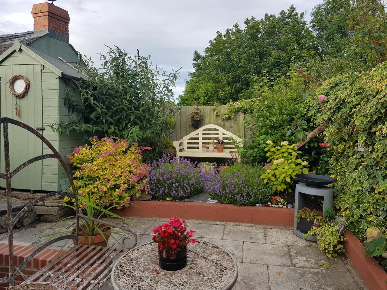 An Artist's Cottage — 4-Star Luxury Hotel in Fishguard, United Kingdom