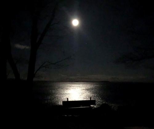 Camden Maine Stay Inn - photo 18