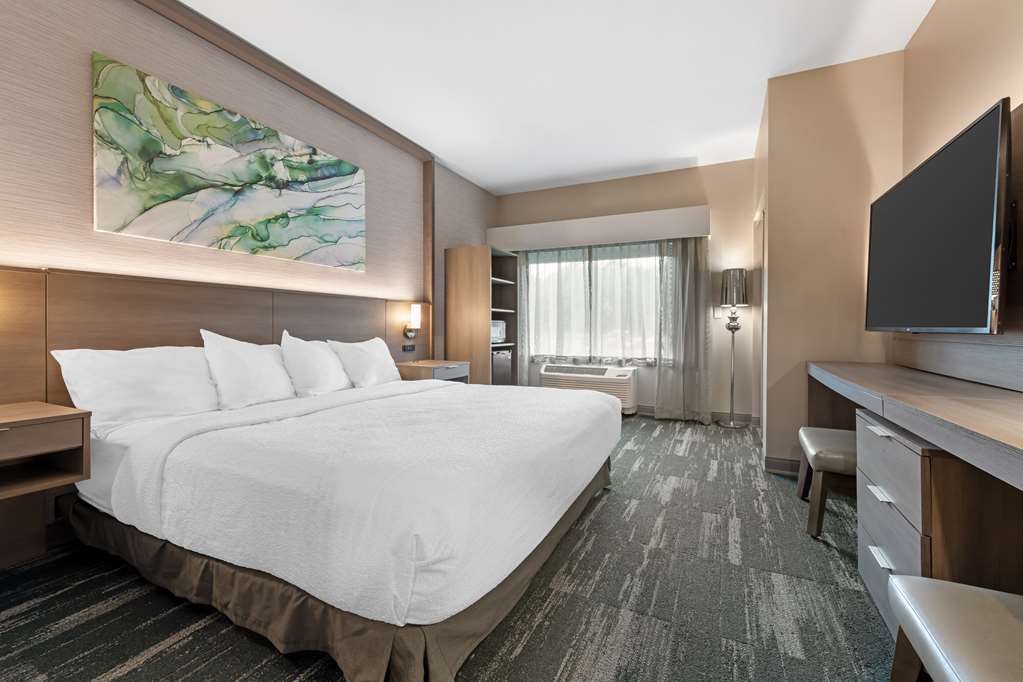 Best Western Plus Grand Rapids MN - photo 25