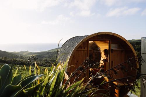Barrique Studio with Sauna at Barrelled Wines Raglan — 4-Star Luxury Hotel in Raglan, New Zealand