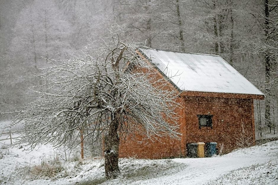 Osada Krasne Noclegi Blisko Natury in Bukowiec, Poland