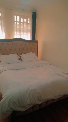 DreamNest B&B