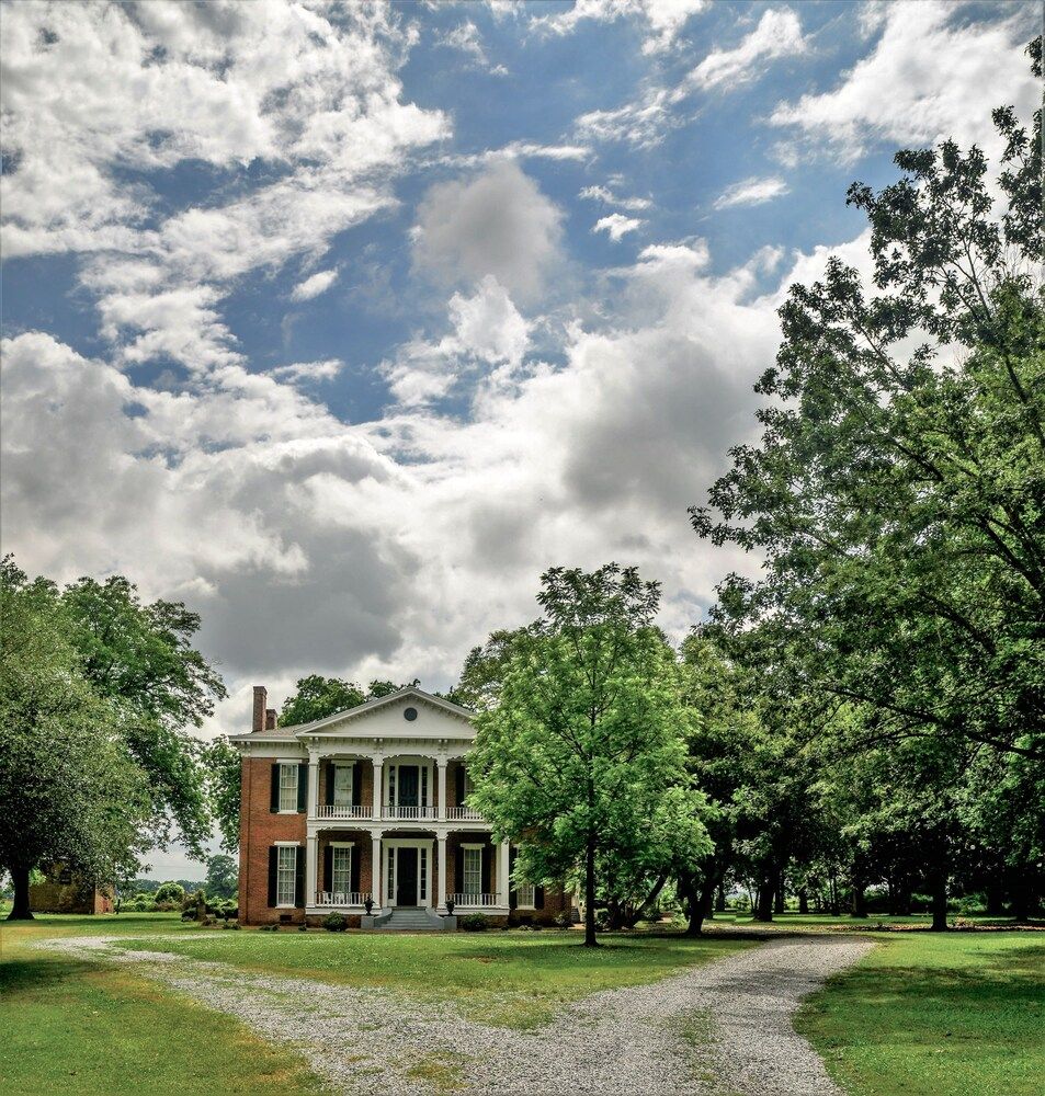 Belmont Plantation - photo 29