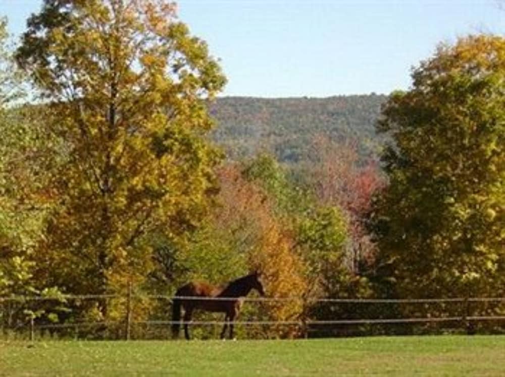 Inn at Clearwater Pond - photo 120