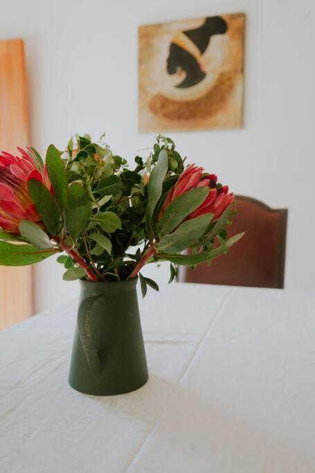 Bains Kloof Cycling Retreat in Wellington, South Africa