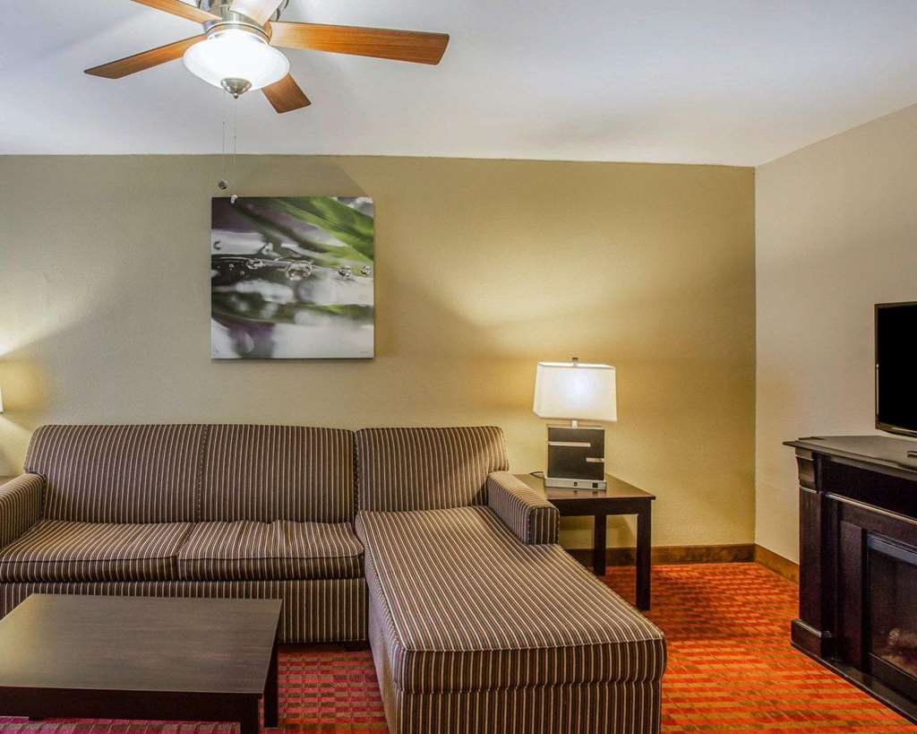 Quality Suites Nashville Airport - photo 11