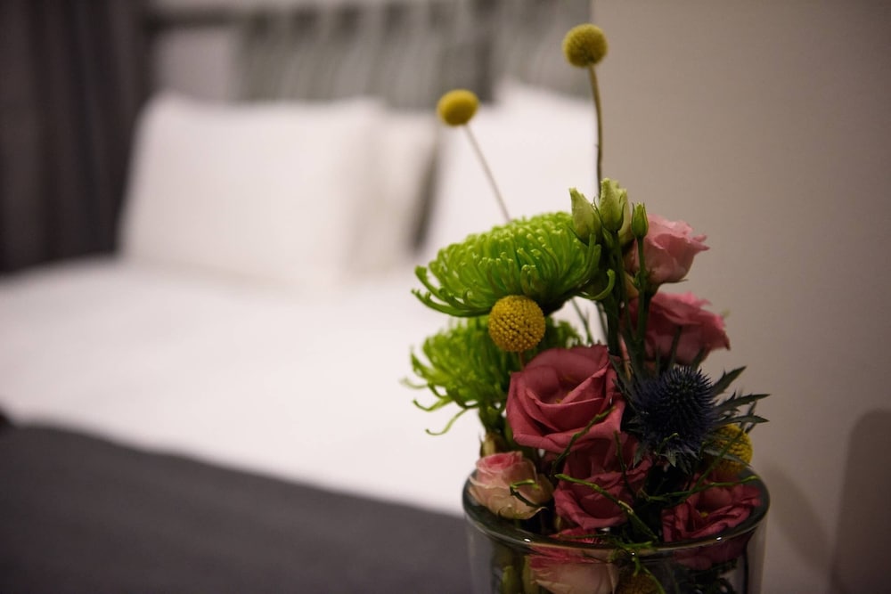 Hotelroom In Berlin n6 Prenzlauer Berg — Berlin — photo 2
