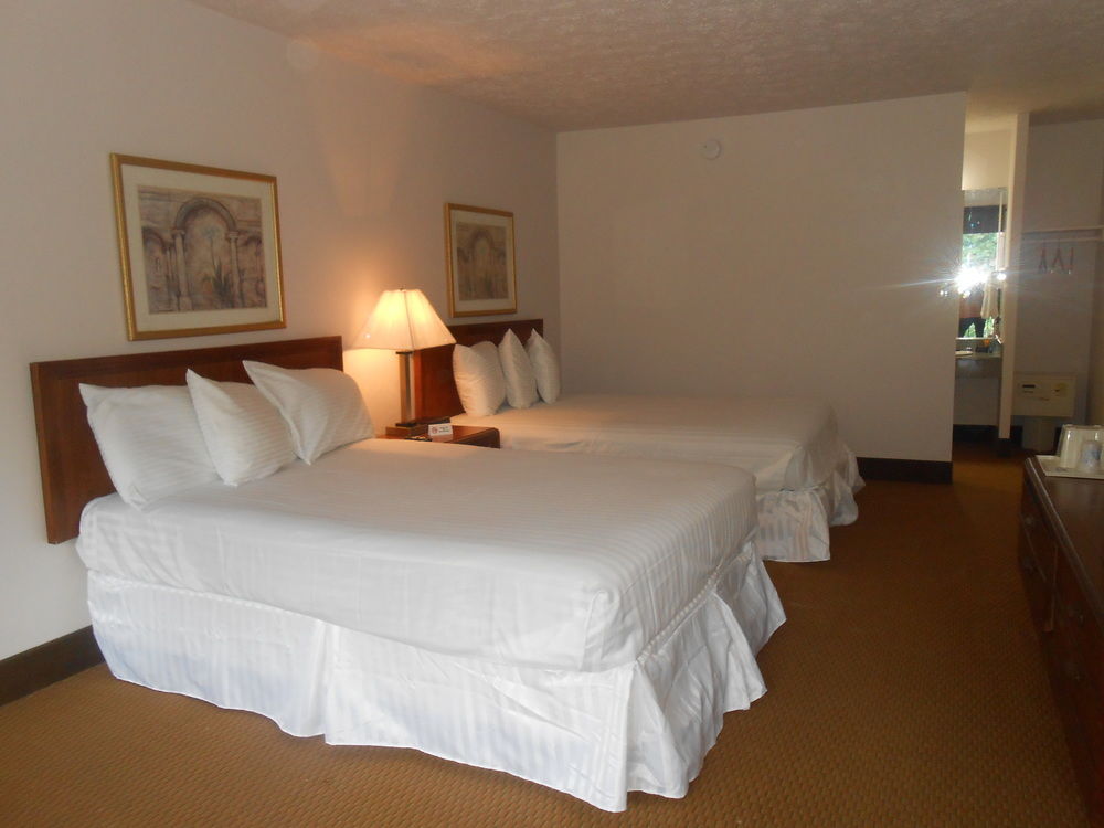 Americas Best Value Inn Williamsburg Lightfoot Area - photo 9