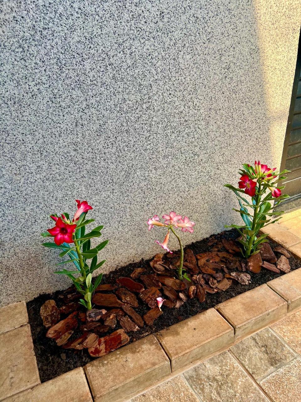 Ksakonchego Olimpia Sp in Olimpia, Brasil