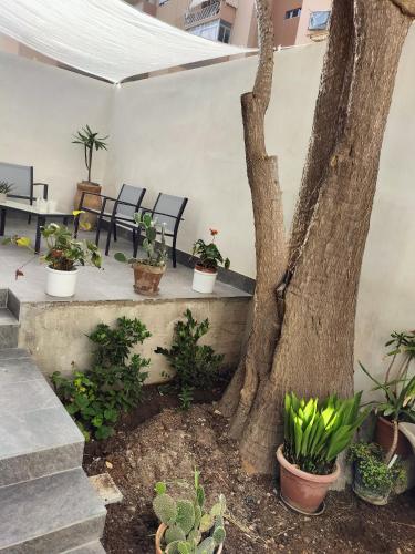 La Yucca — 4-Star Luxury Hotel in Trapani, Italy
