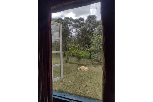 Pousada Chalé Terra Viva in Tiradentes, Brasil