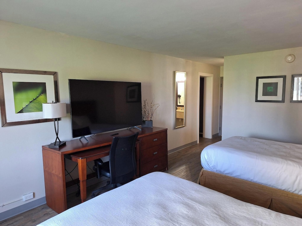 The Hotel Orange - photo 19