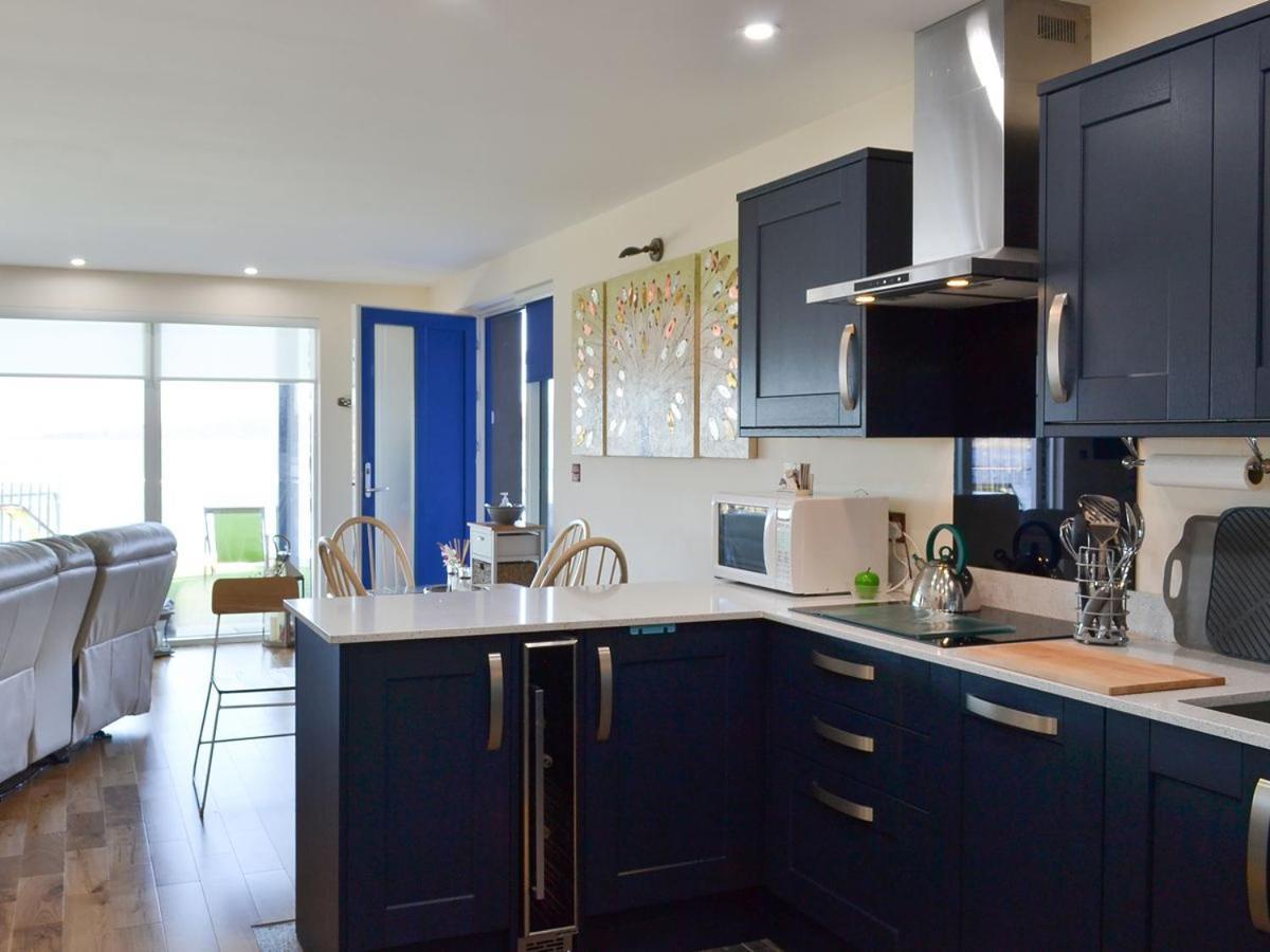 4 Dolphins in Oban, United Kingdom