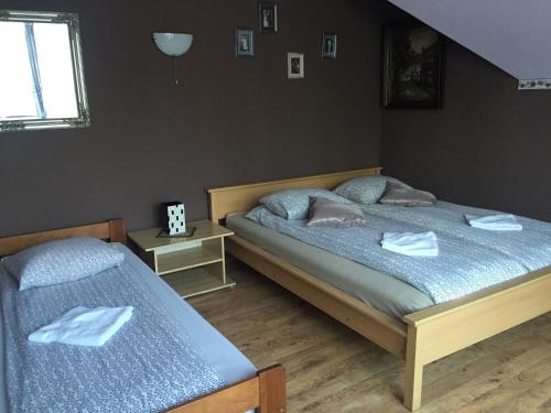 Pensjonat u Alexa — hotel in Zaluski