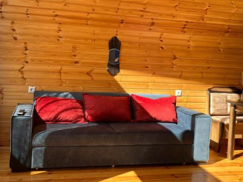 Vaso Levani Kazbegi Cottage