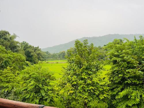 Changmai’s Inn — Unknown City — photo 5