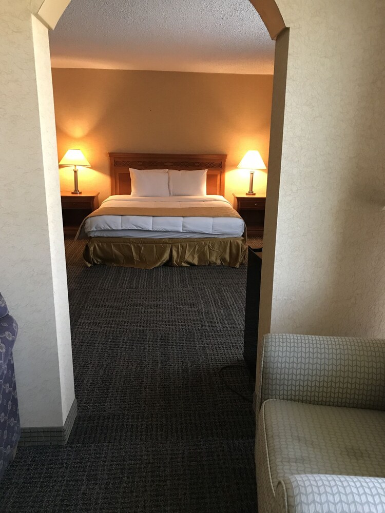 Ramada Dallas North - photo 9