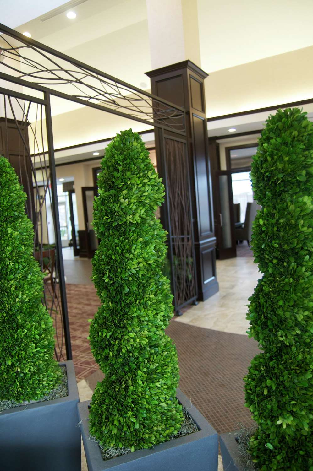Hilton Garden Inn New Braunfels - photo 21