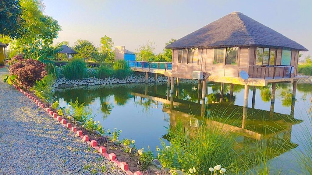 Jungle Heritage Resort — hotel in Palia Kalan