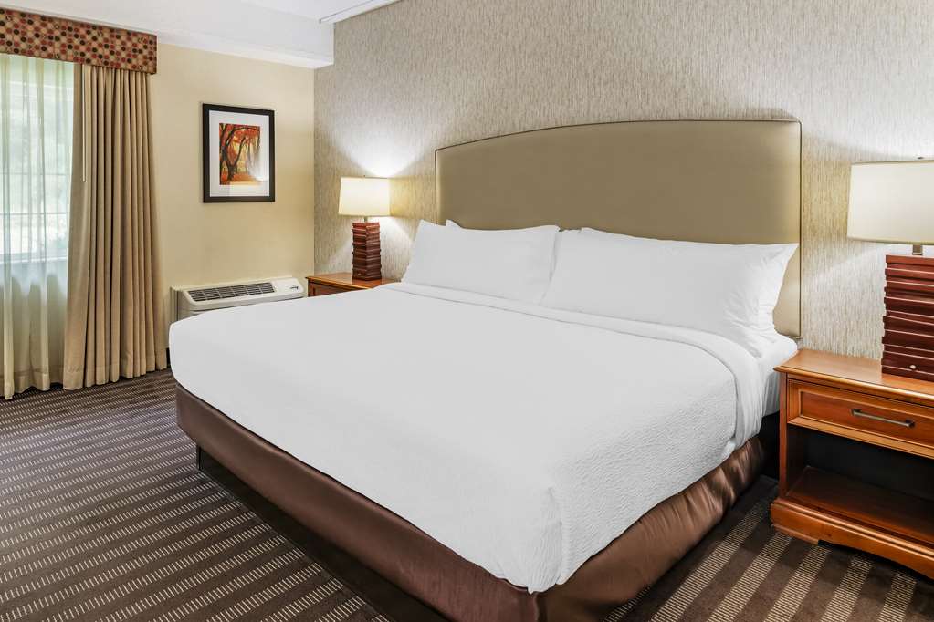Best Western Springfield Hotel - photo 42