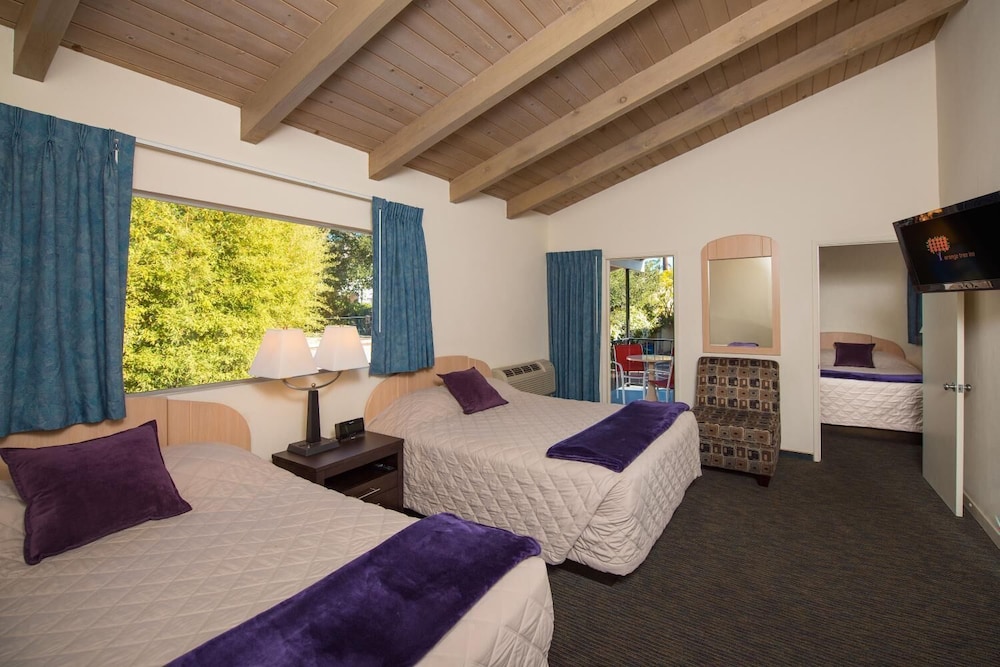 Orange Tree Inn - photo 10