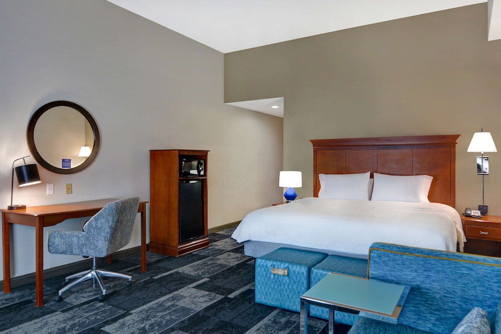 Hampton Suites Birmingham Hoover - photo 21