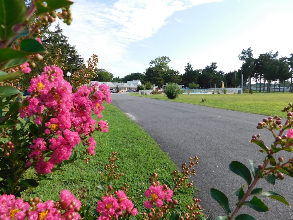 Hyland Motor Inn - photo 35