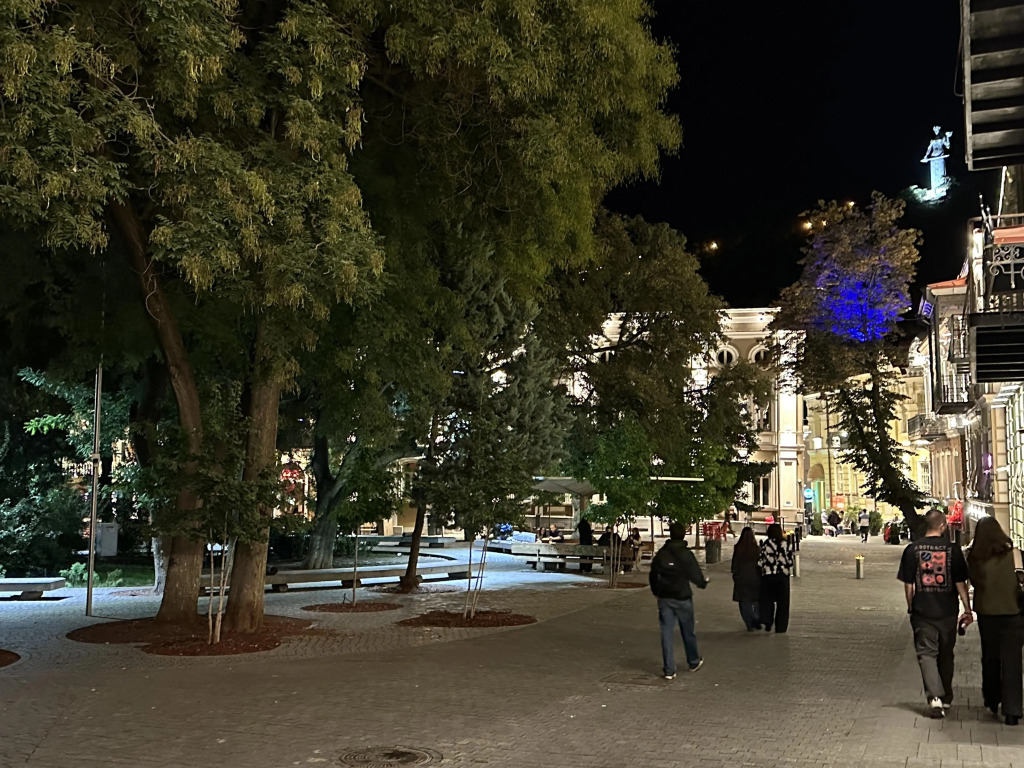 Apartment Gudiashvili square