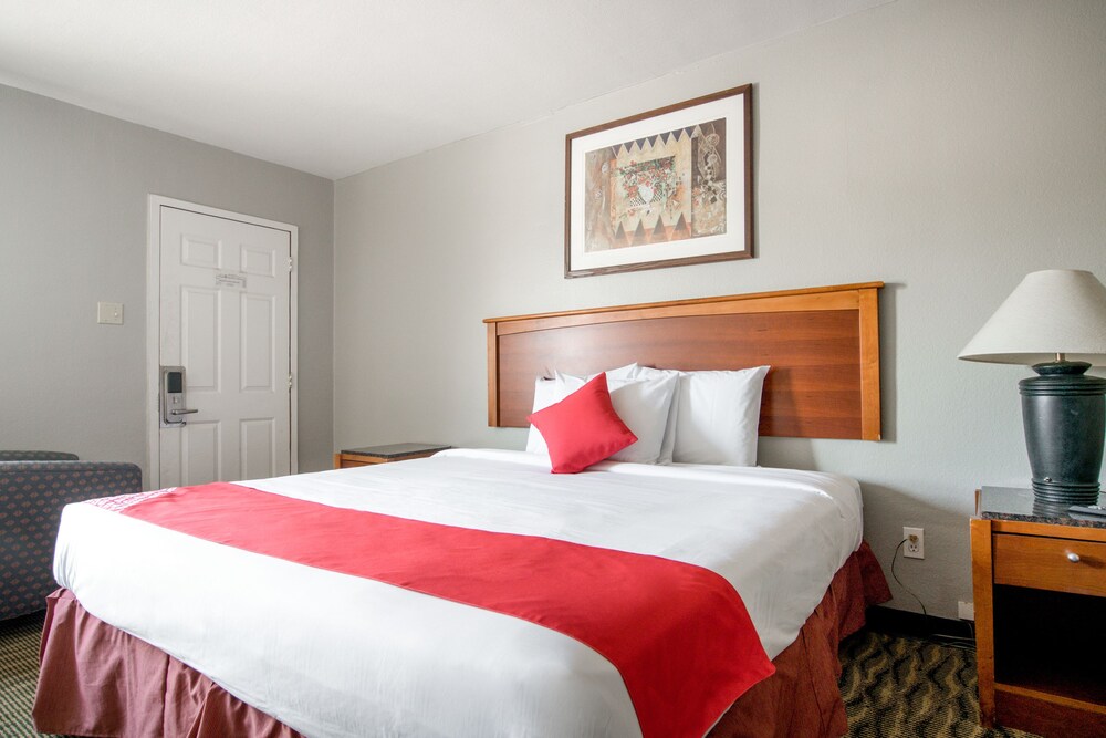 OYO Inn Dallas South - photo 11