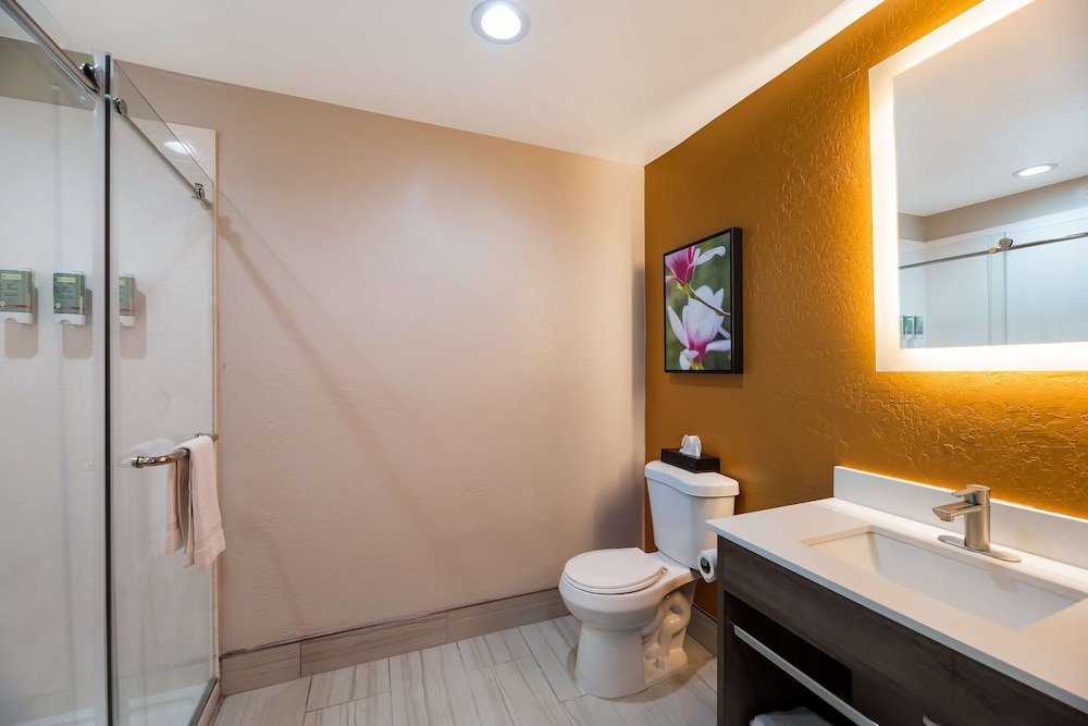Best Western Bellemont Shadow Mountain Inn - photo 25