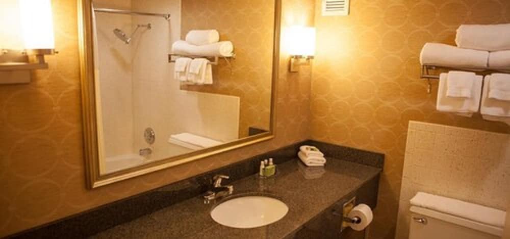 Decatur Conference Center & Hotel - photo 17