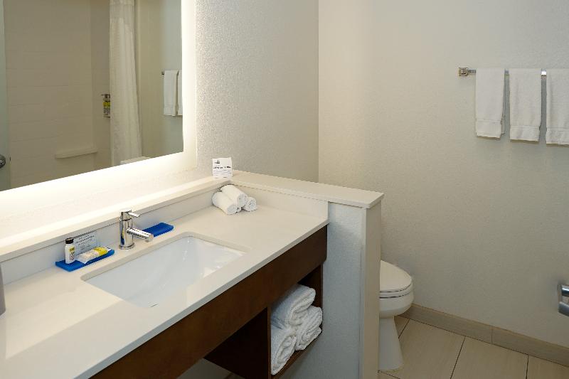 Holiday Inn Express & Suites Denver Aurora Medical Campus by IHG - photo 51