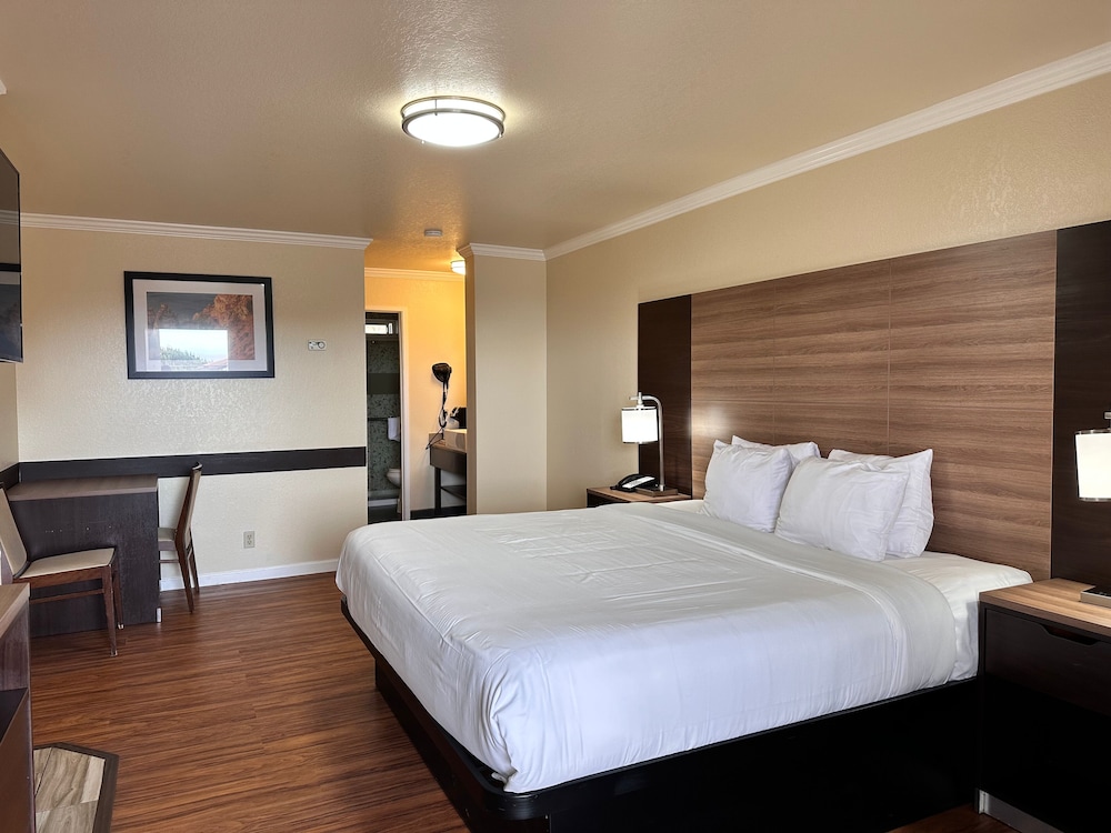 Beachwalker Inn and Suites - photo 19