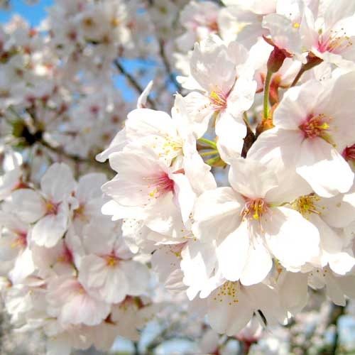 Abuto Honkan in Fukuyama, Japan